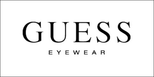The logo for guess eyewear is on a white background.