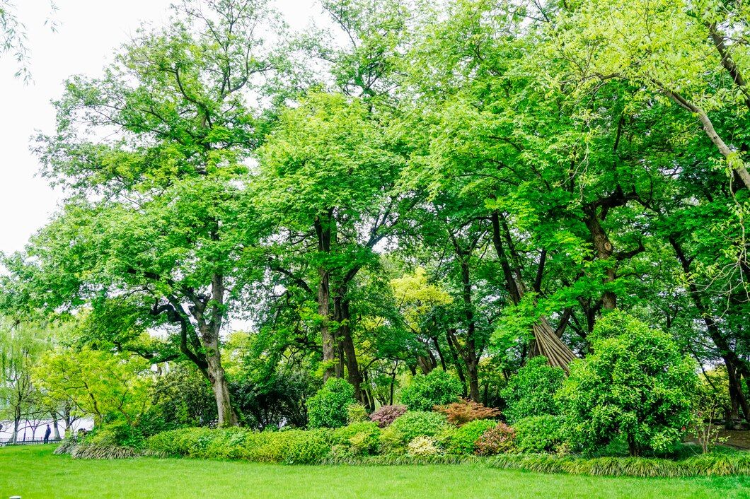 How to Care for Trees and Shrubs Healthy Lawn