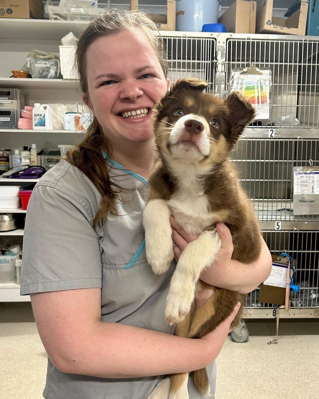 Happy Vet Holding a Cute Dog — Veterinary Services in Nambour, QLD