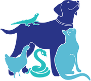 All Animal Veterinary Services: Your Local Veterinarian in Nambour