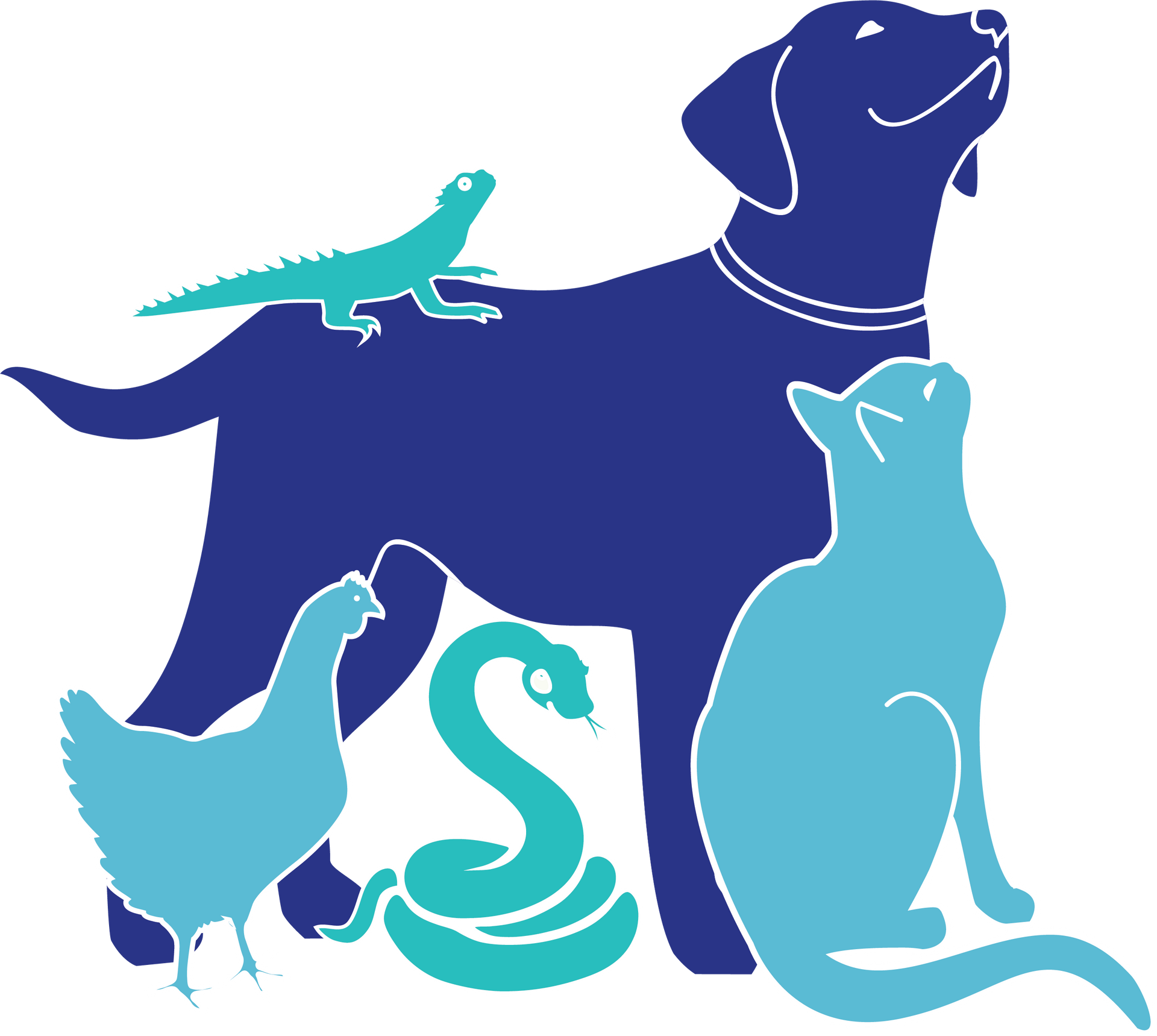 All Animal Veterinary Services: Your Local Veterinarian in Nambour All Animal Veterinary Services: Your Local Veterinarian in Nambour