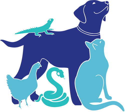 All Animal Veterinary Services: Your Local Veterinarian in Nambour All Animal Veterinary Services: Your Local Veterinarian in Nambour