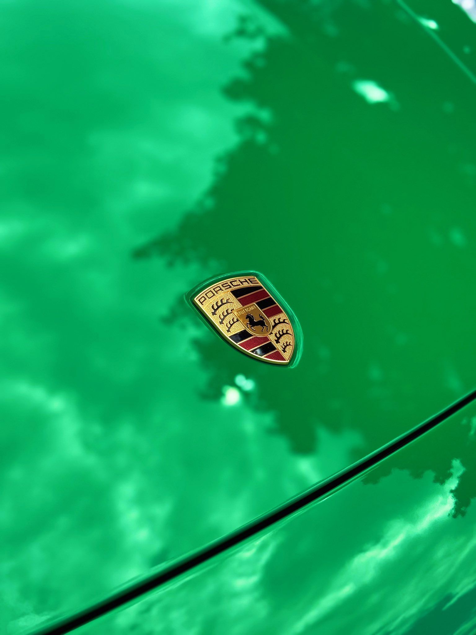 Small crest badge with red and yellow details on a glossy green car hood, near a black windshield wiper.