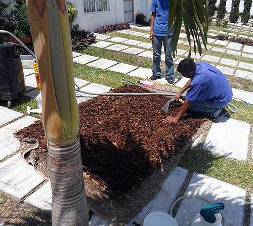 SUPER CLEAN CANCÚN - mantenimiento de espacios