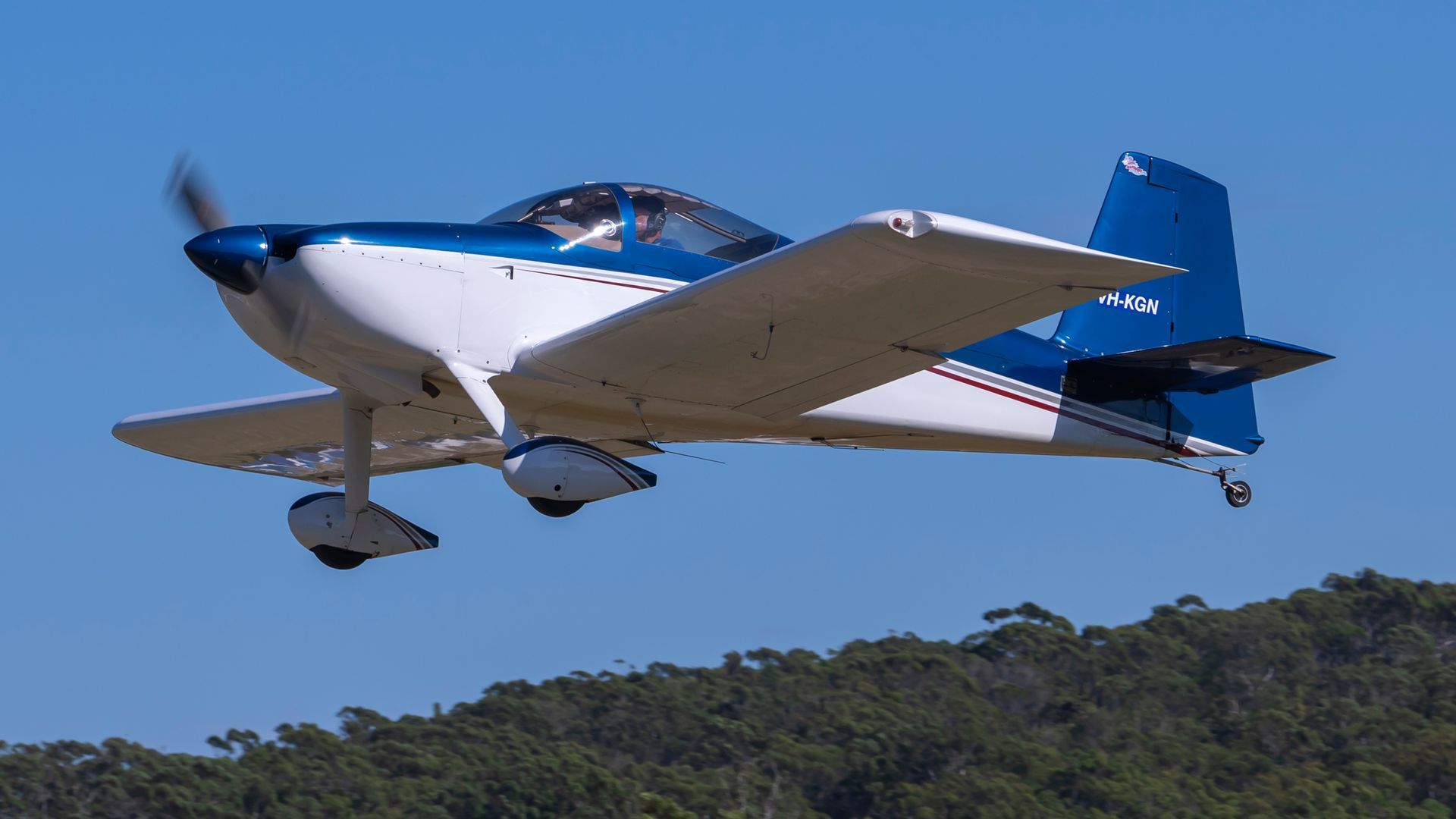 A small blue and white plane is flying over a forest.
