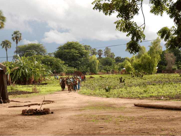 A procession of women through the village during a celebration