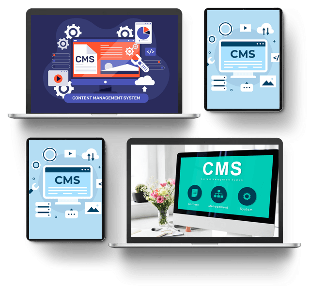 Custom CMS Development