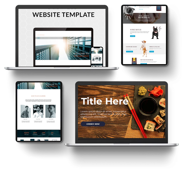 Designing a Website