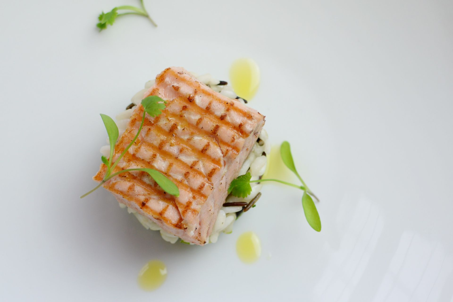 A white plate topped with a piece of grilled salmon and mashed potatoes.