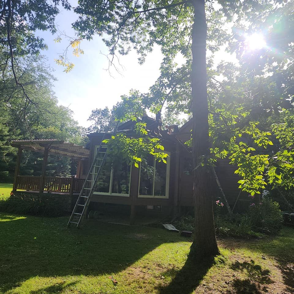 A house with a ladder in front of it is surrounded by trees.