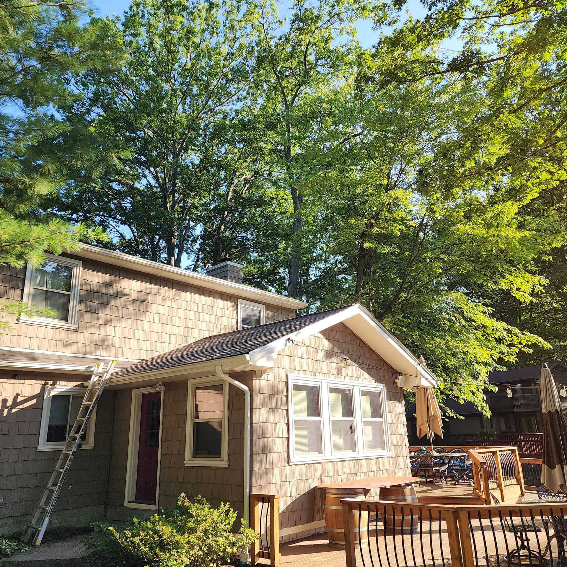 A house with a ladder on the side of it surrounded by trees.