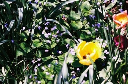Living Aids Memorial Garden gallery