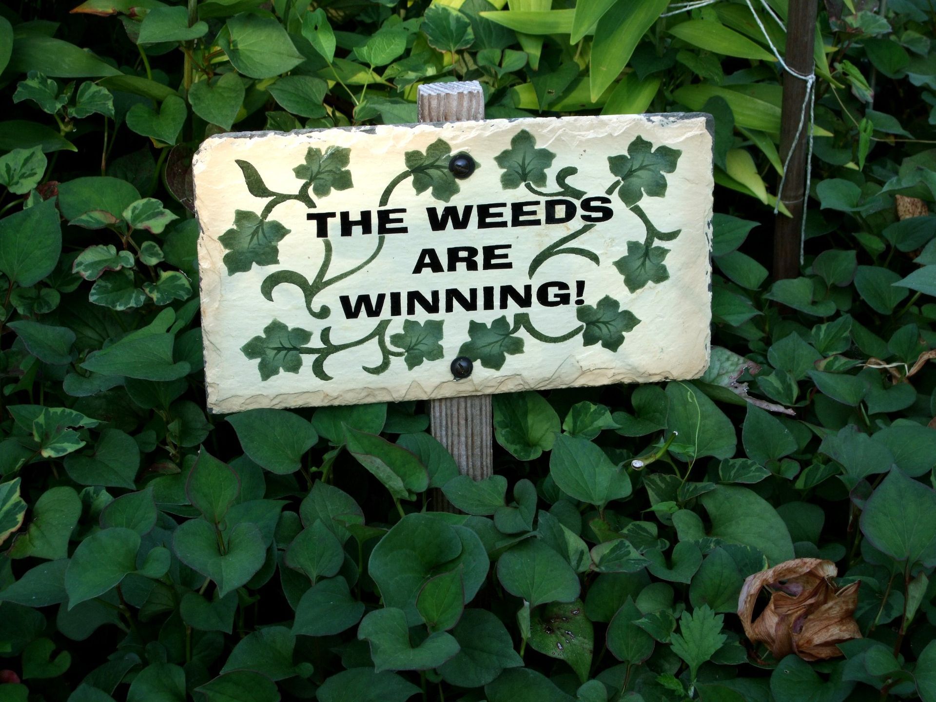 Living Aids Memorial Garden gallery
