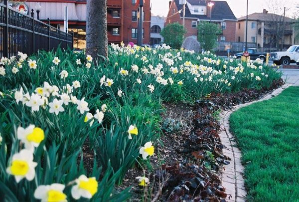 Memorial Garden