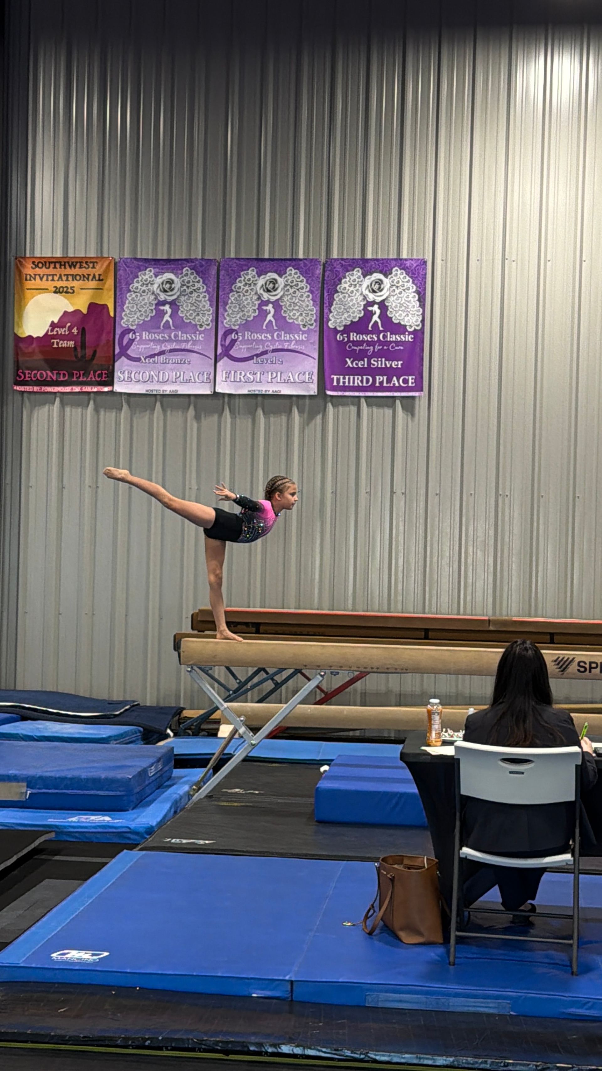 Gymnast on balance beam, extending leg, arms outstretched. Gym setting, banners in background.