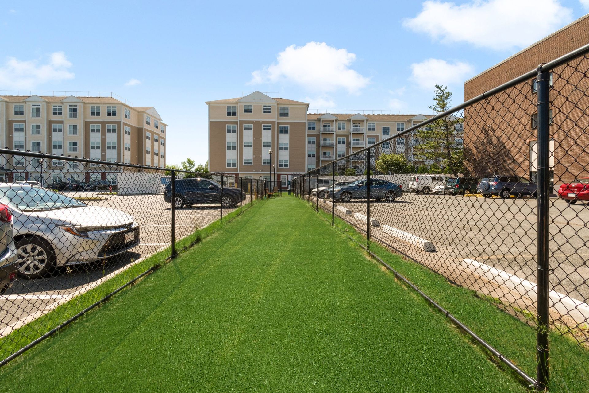 Grass & Fenced Area at Rumney Flats.