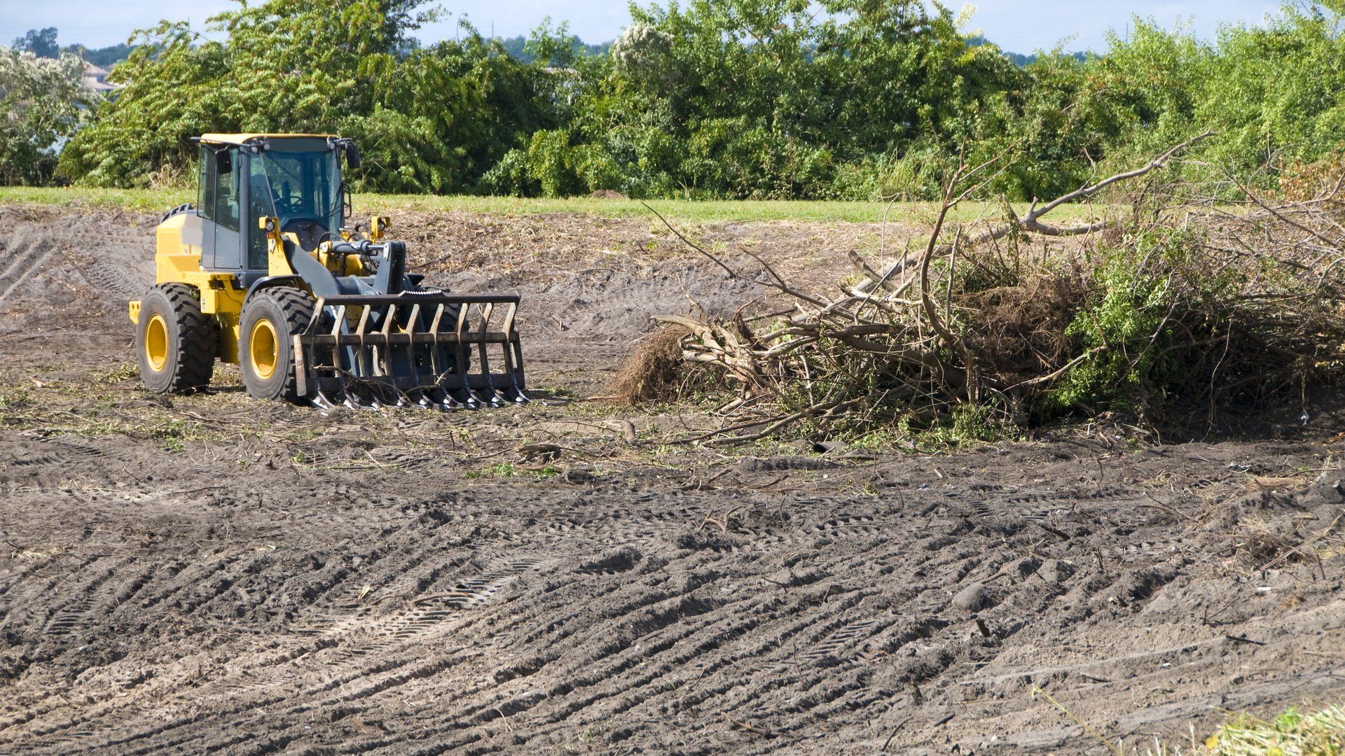 Land Clearing in Two Harbors, MN | Wright's Tree Service Land Clearing in Two Harbors, MN | Wright's Tree Service