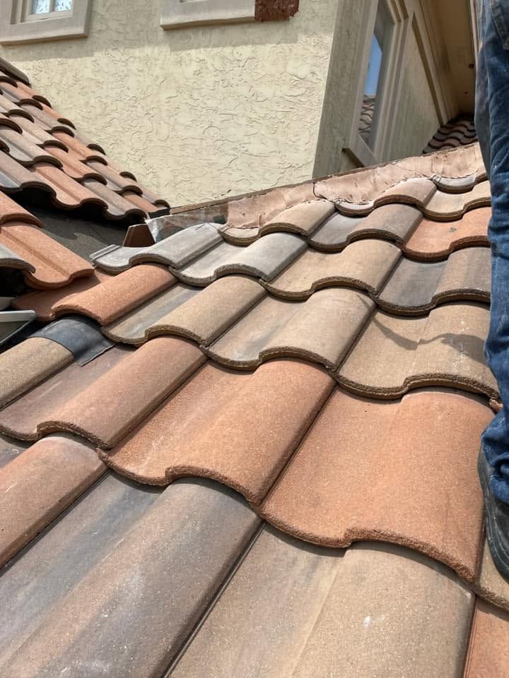 Close-up of a terracotta tiled roof between two buildings, showing weathered curved tiles.
