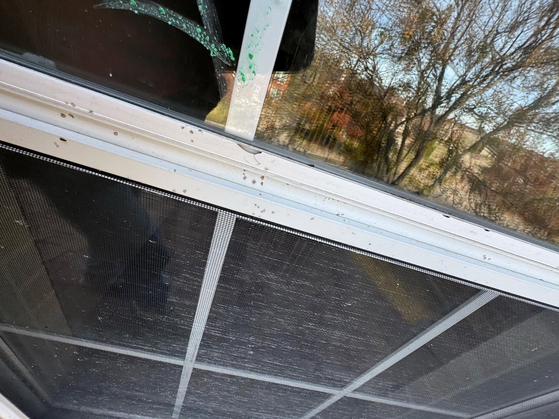 Tilted view of a window with a screen, white frame, and trees reflected outside