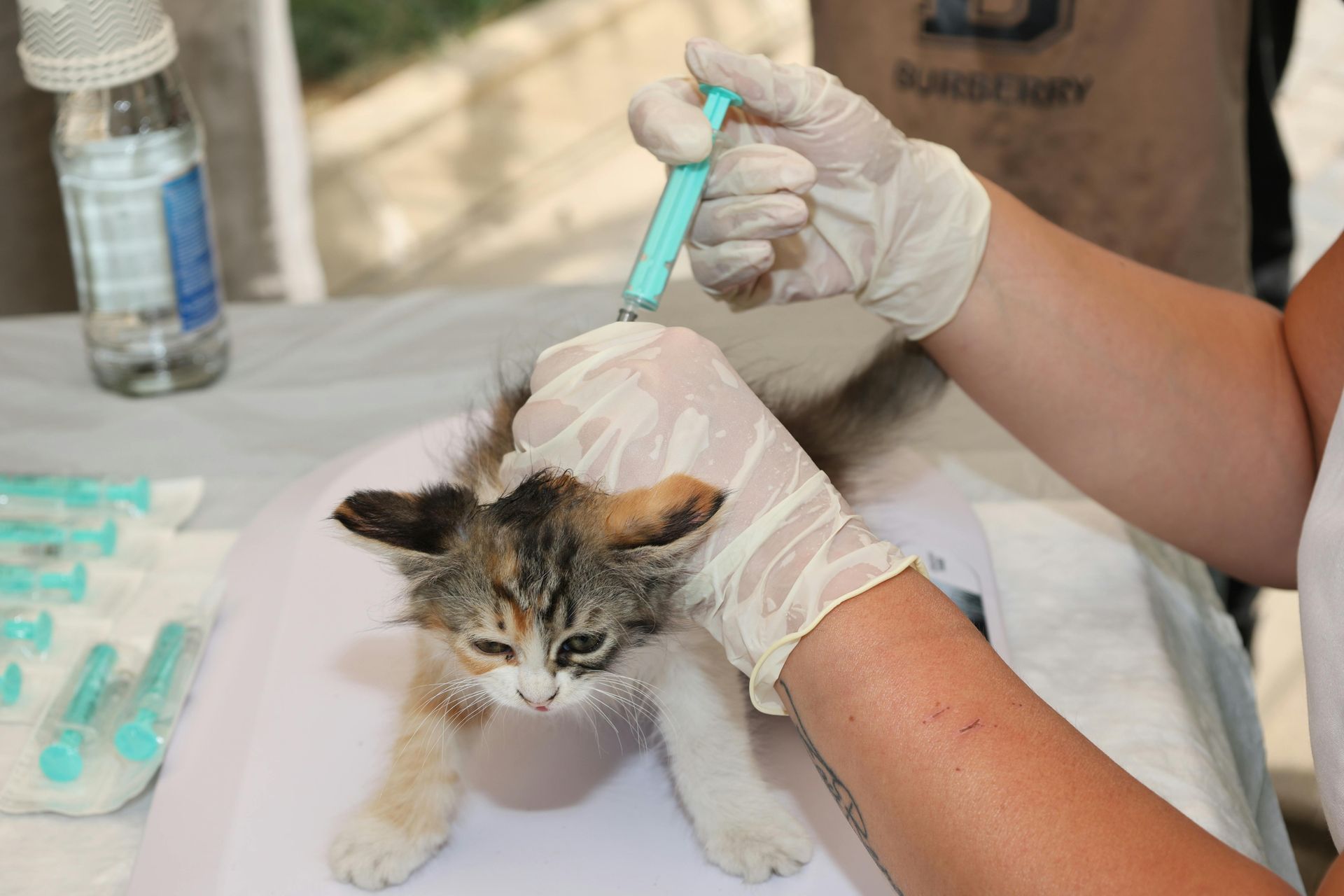 We are a modern veterinary hospital serving La Verne, Claremont, San Dimas, and Glendora, offering same-day urgent and emergency care, comprehensive dog and cat medicine, advanced diagnostics and imaging, minimally invasive procedures including endoscopy, laparoscopy, and non-surgical foreign body removal, dental cleanings, cold laser therapy, stem cell therapy, and compassionate, high-quality veterinary care under one roof.