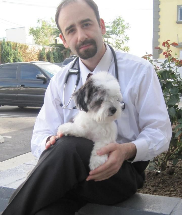 Veterinarian in white coat with stethoscope, holding a small black and white dog. Outdoors setting.