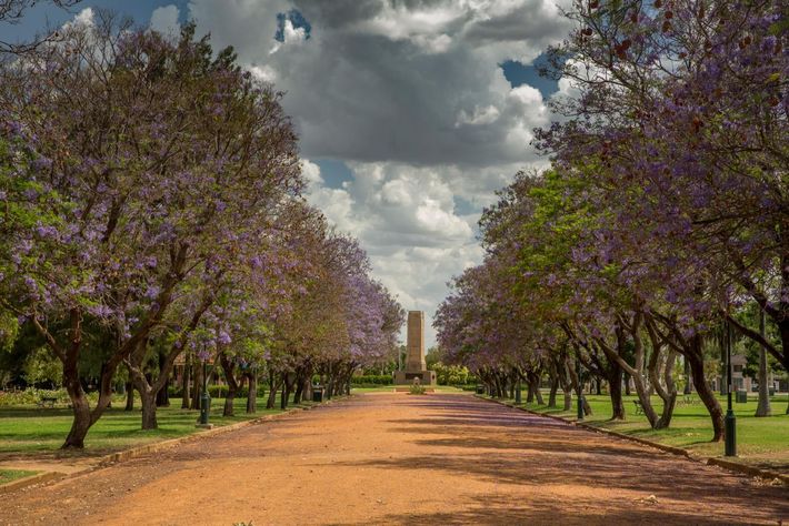 Beautiful Park in Dubbo — Accountants & Bookkeepers in Dubbo, NSW