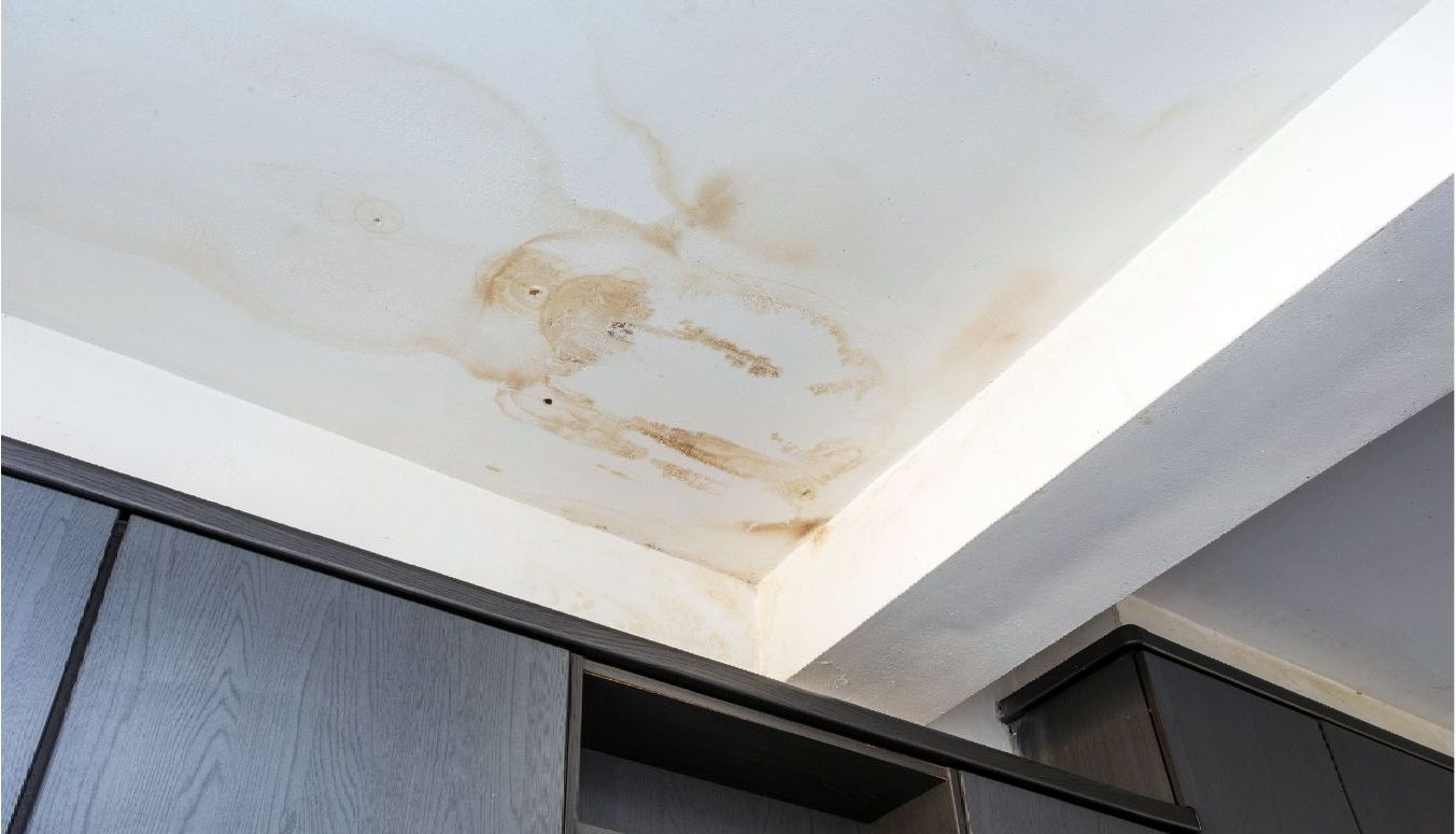 Leaking roof repair company. Best roofing experts in Nekoosa, WI
