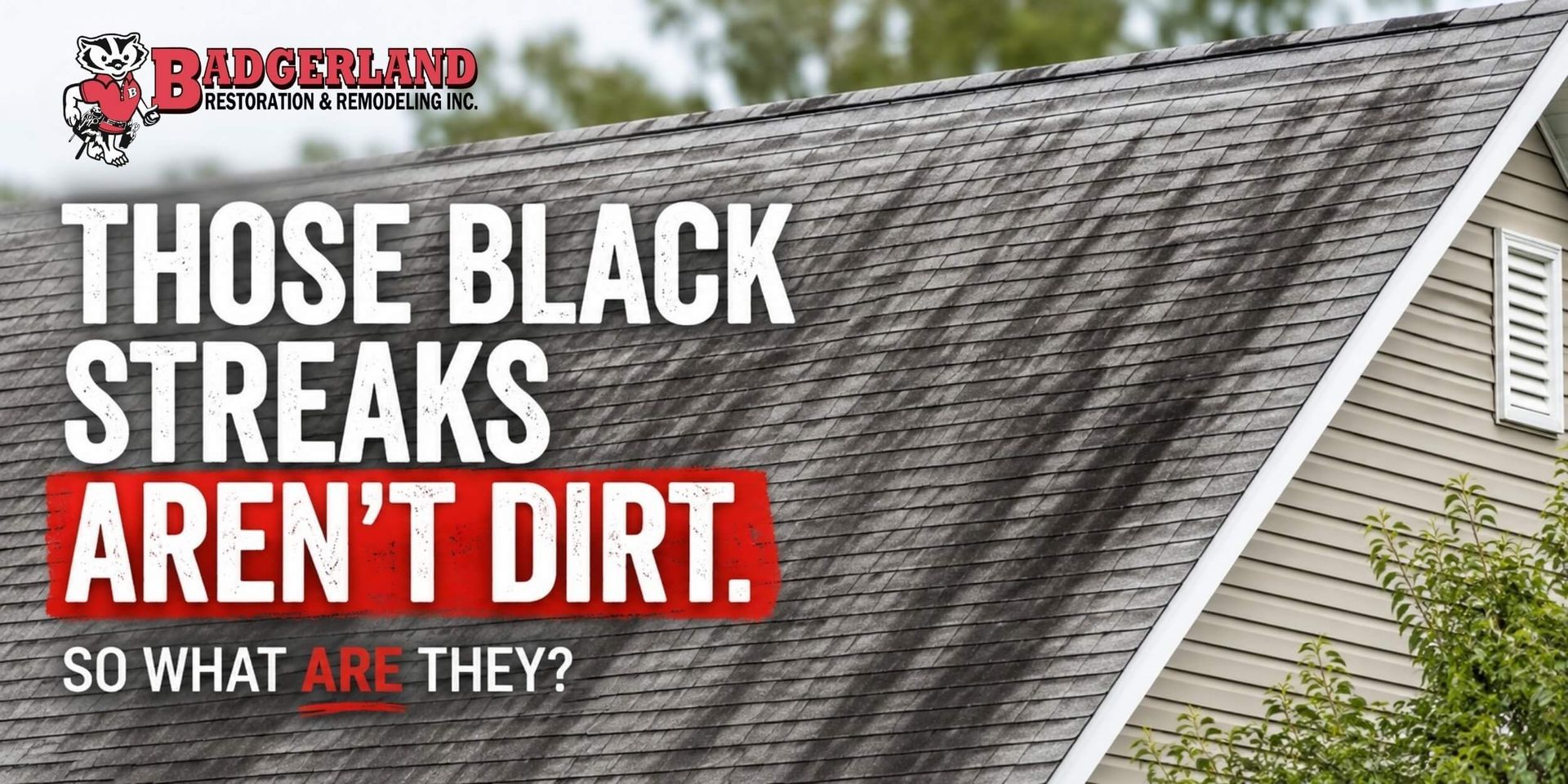 residential home with dark asphalt shingles showing black algae streaks across the roof.