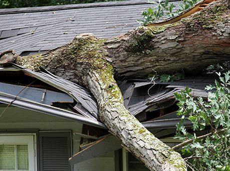 Storm Damage — Weyauwega, WI — Badgerland Restoration & Remodeling Inc. Storm Damage Repair — Wisconsin Rapids, WI — Badgerland Restoration & Remodeling Inc.