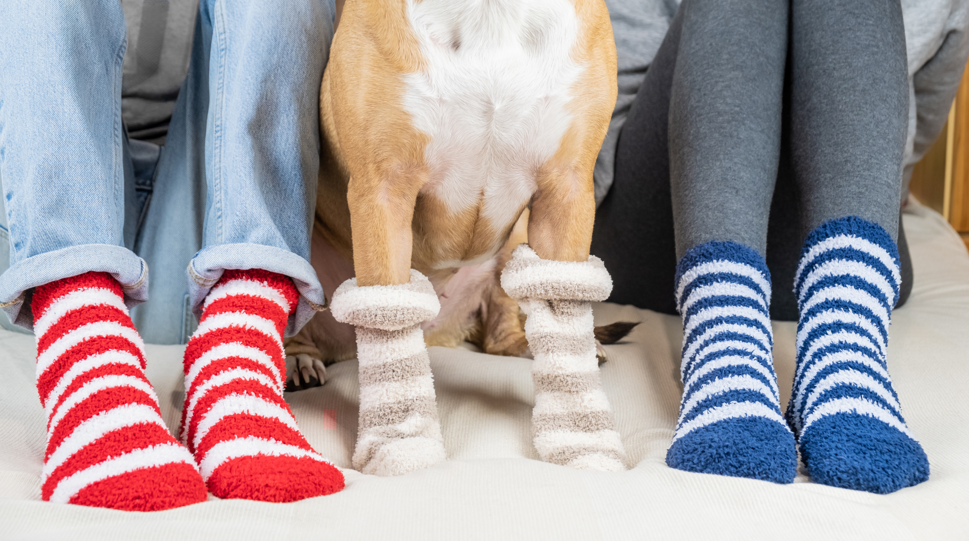 Furnace maintenance - Change furnace filter - Furnace How to - Dog socks - Badgerland Restoration & Remodeling - Waupaca Wisconsin - Stevens Point - Appleton