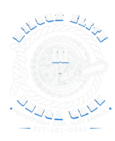 Arabic calligraphy logo in light blue and white, with a circular emblem and decorative border