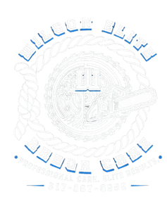 Arabic calligraphy logo in light blue and white, with a circular emblem and decorative border