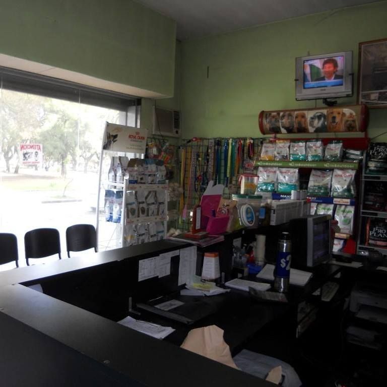Interior de una pequeña tienda con mostrador negro, mercancía colgada y un televisor montado en la pared.
