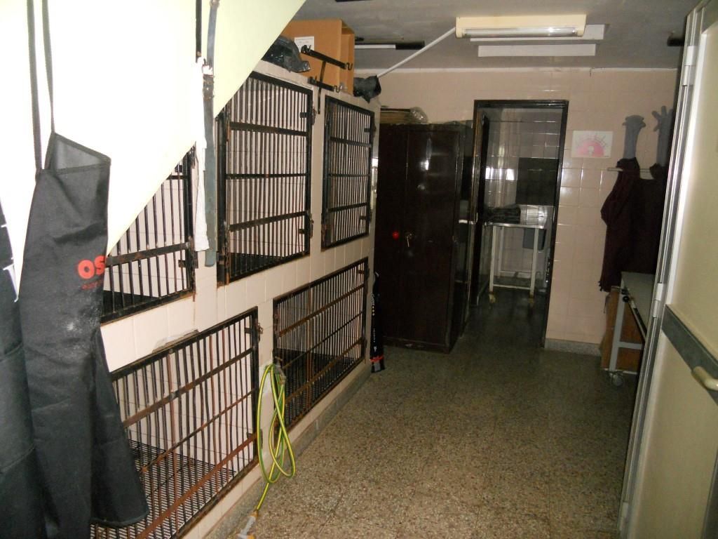 Pasillo interior con ventanas enrejadas, verjas negras y un perchero cerca de las escaleras.