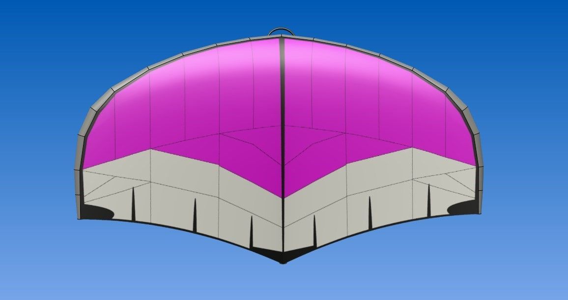 Aile de Wing taille 5 pour la race
