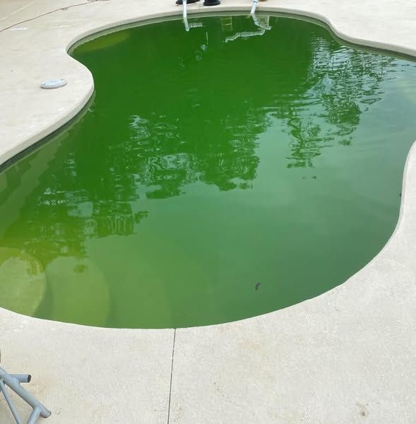 Citywide Pool Service, Inc. 1