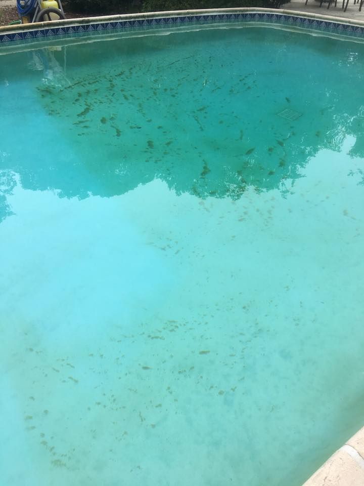 Citywide Pool Service, Inc. 5