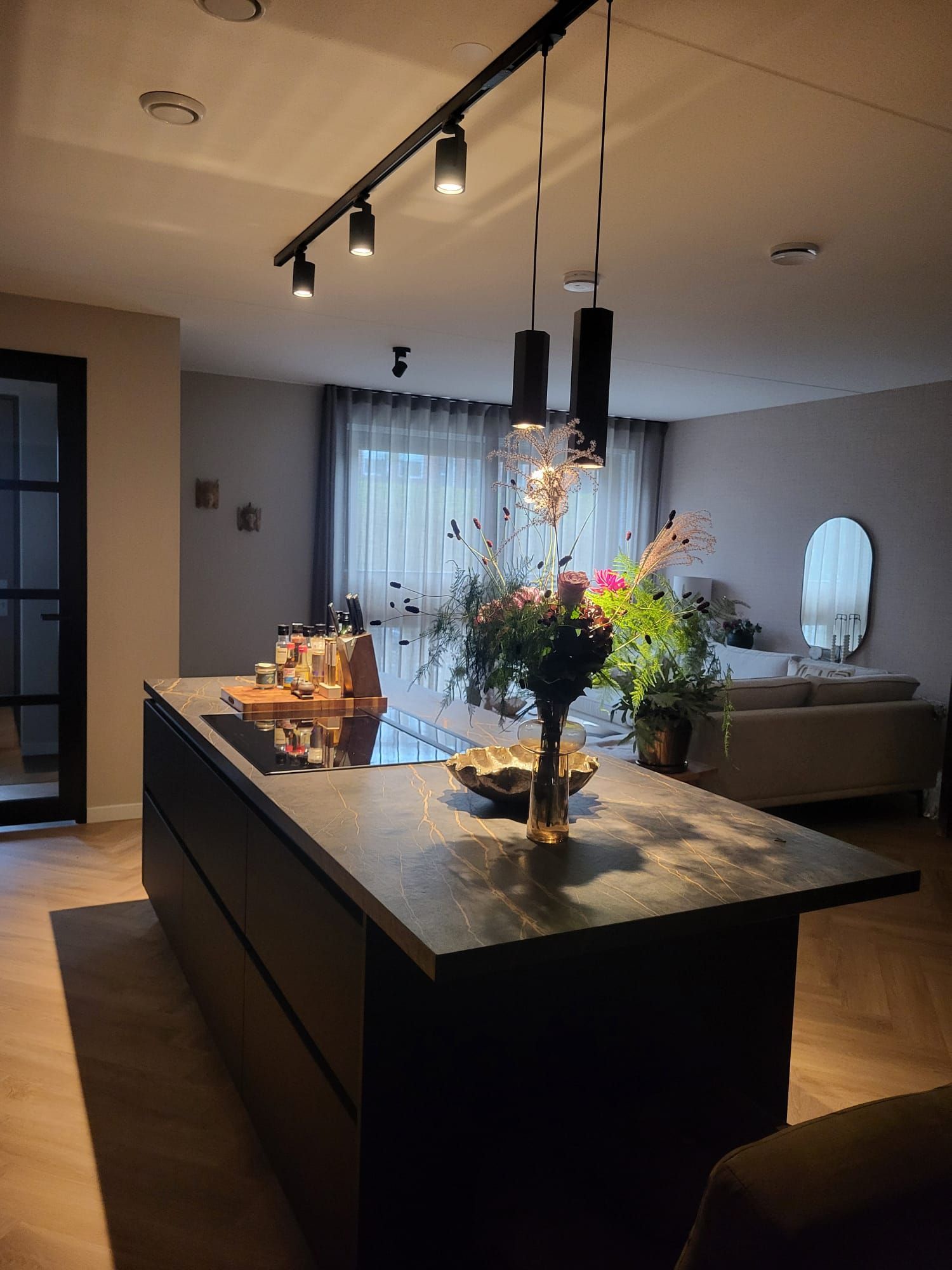 Verlichtingsadvies Hoeksche Waard