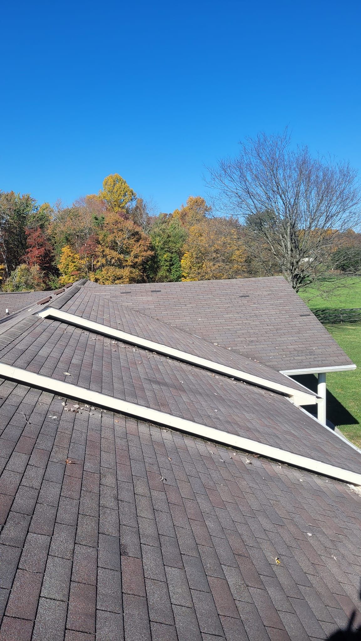 Dark brown shingled roof with wooden trim against a backdrop of trees with autumn foliage and a blue sky.