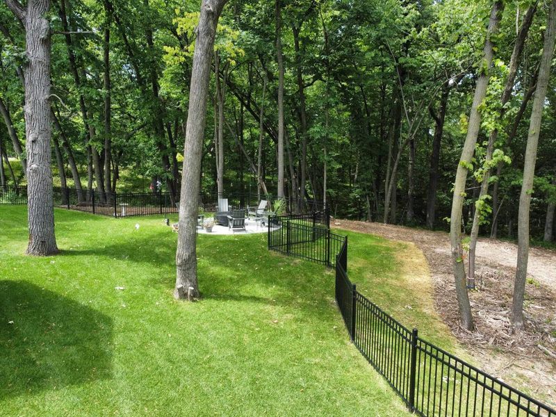 Lush green lawn with black fence bordering a wooded area. 
