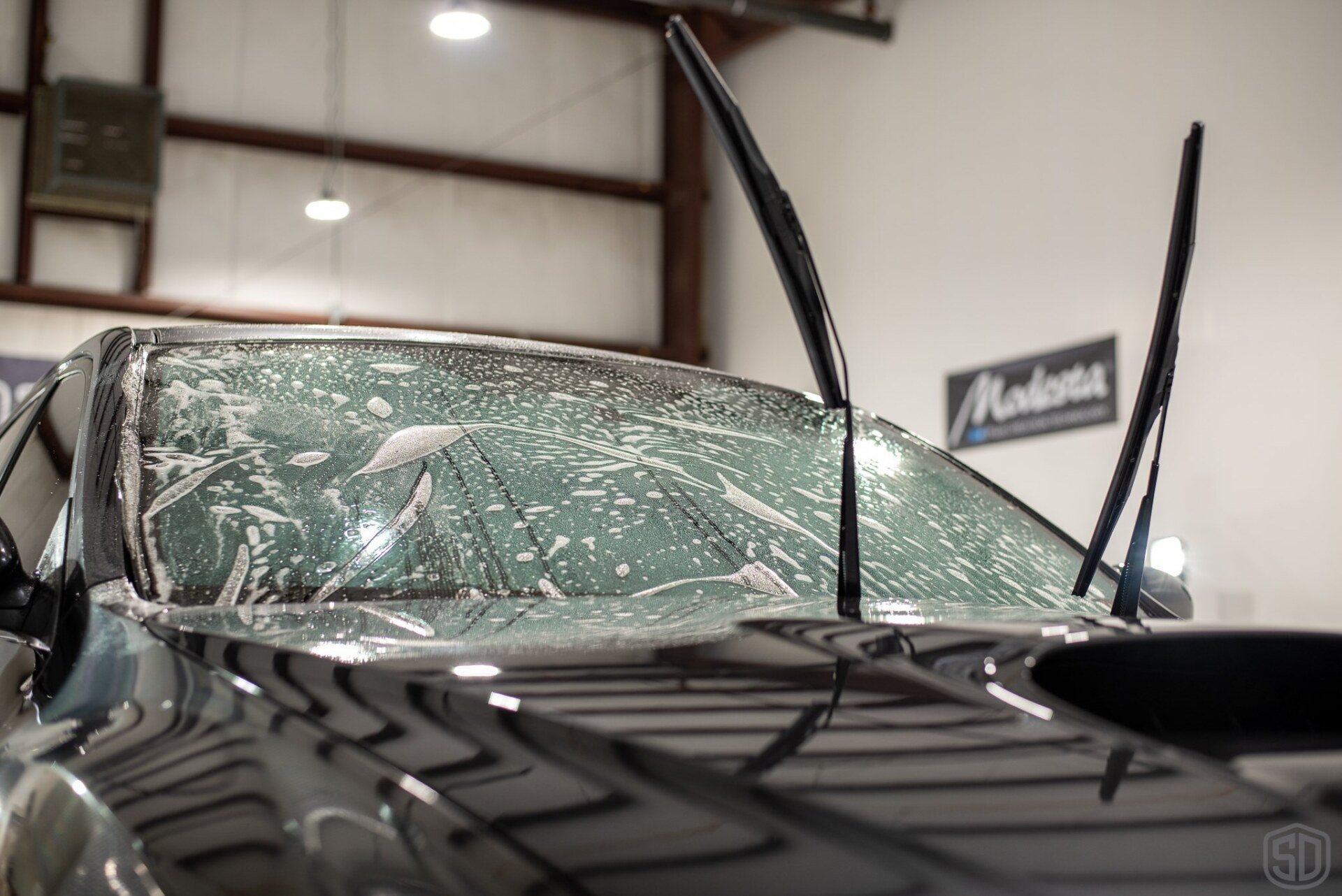 Launching STEK's Dynoflex Windshield film in Orlando