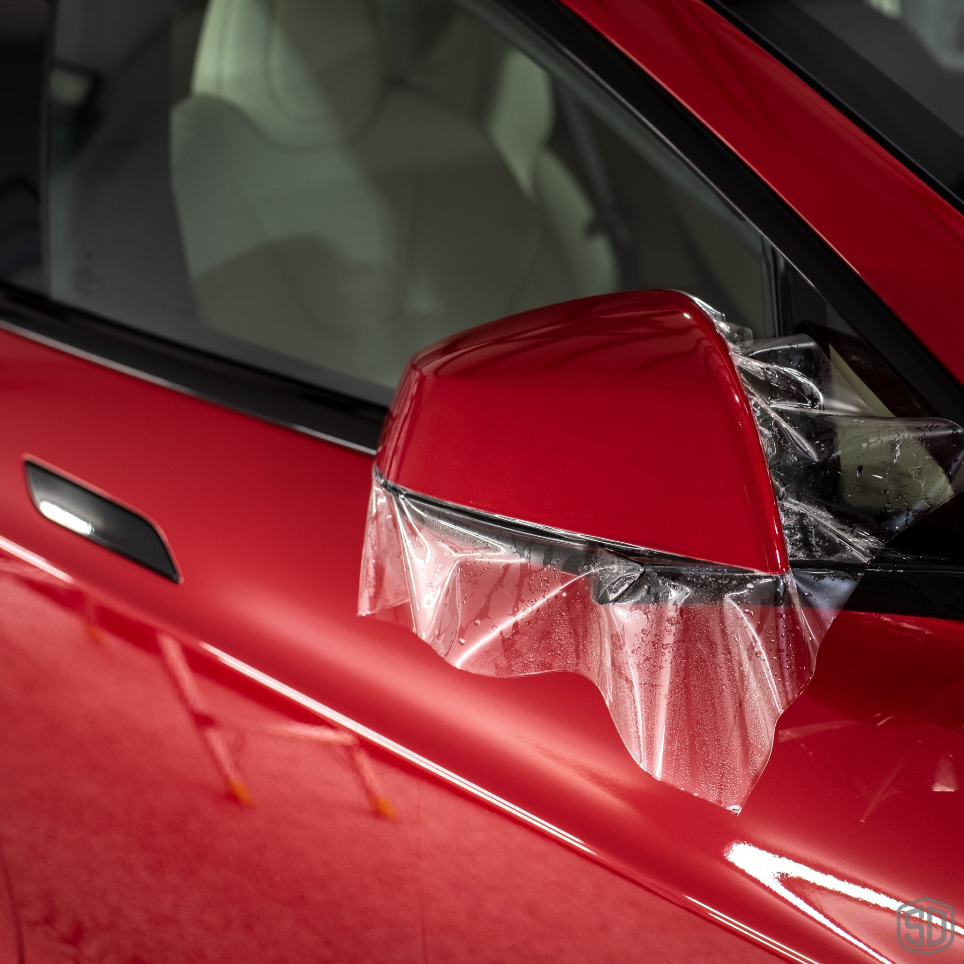 Tesla Model S & X Plaid Paint Correction, PPF, Modesta Protection