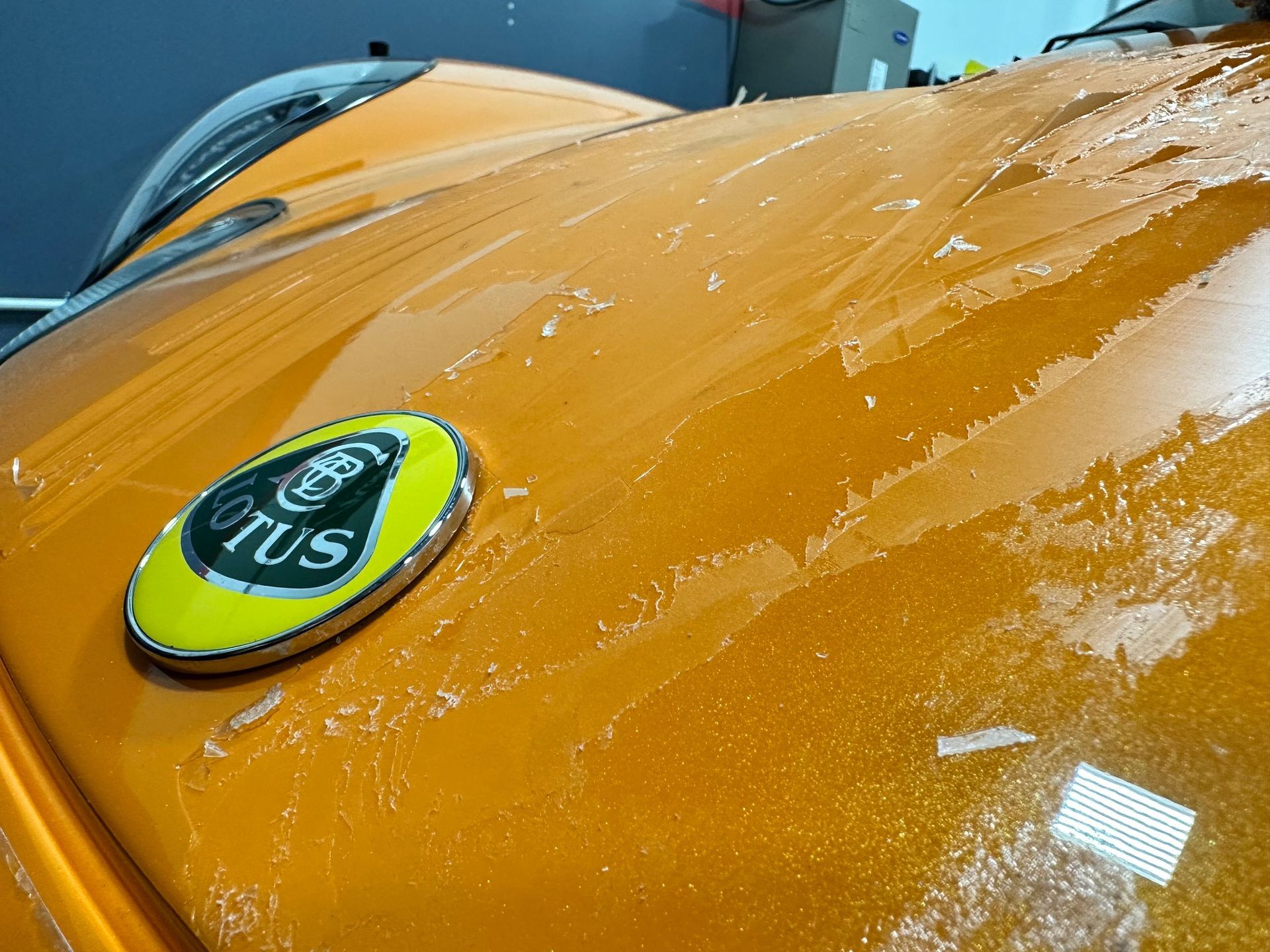 A close up of a lotus emblem on the hood of a car