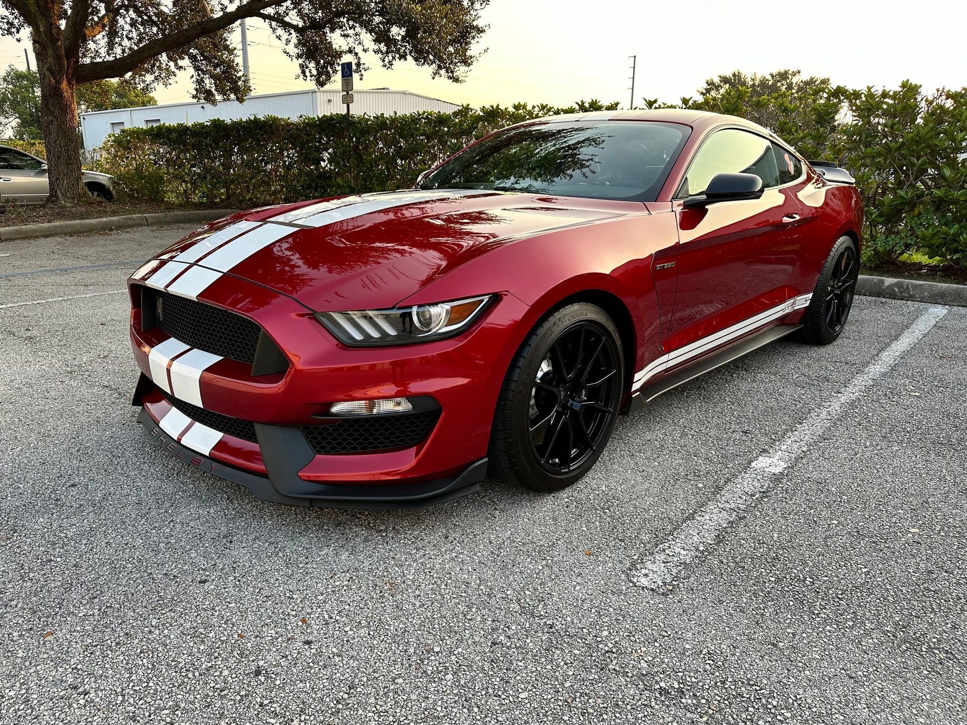 2020 Ford Mustang GT350 Interior & Exterior Detailing and Waxing Orlando, FL USA