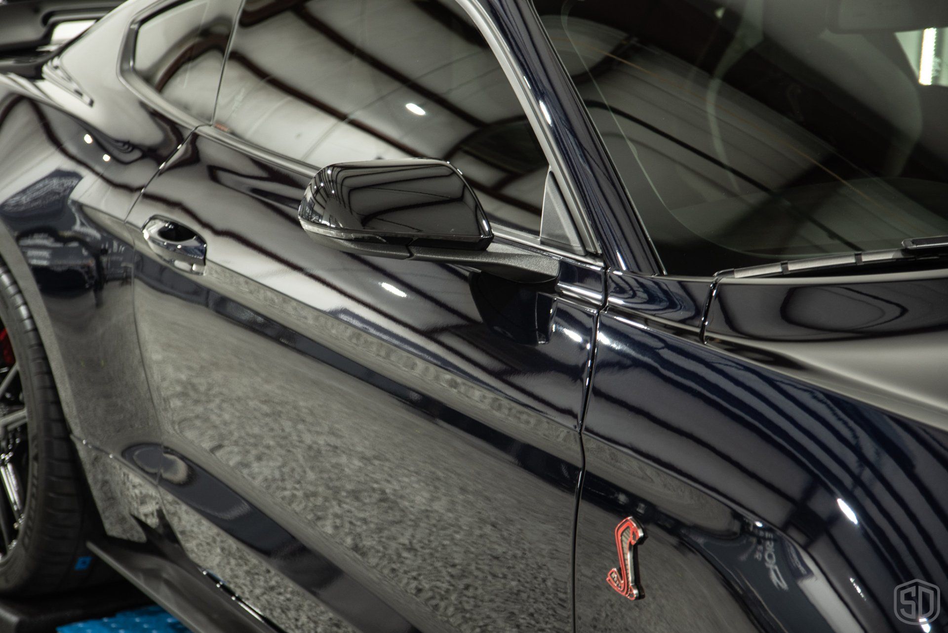 Ford Mustang GT500 level 3 paint correction, xpel ppf, stek dynoflex windshield protection film, modesta BC05 advanced water repellent glass coating, BC06 wheel and caliper protective coating Florida