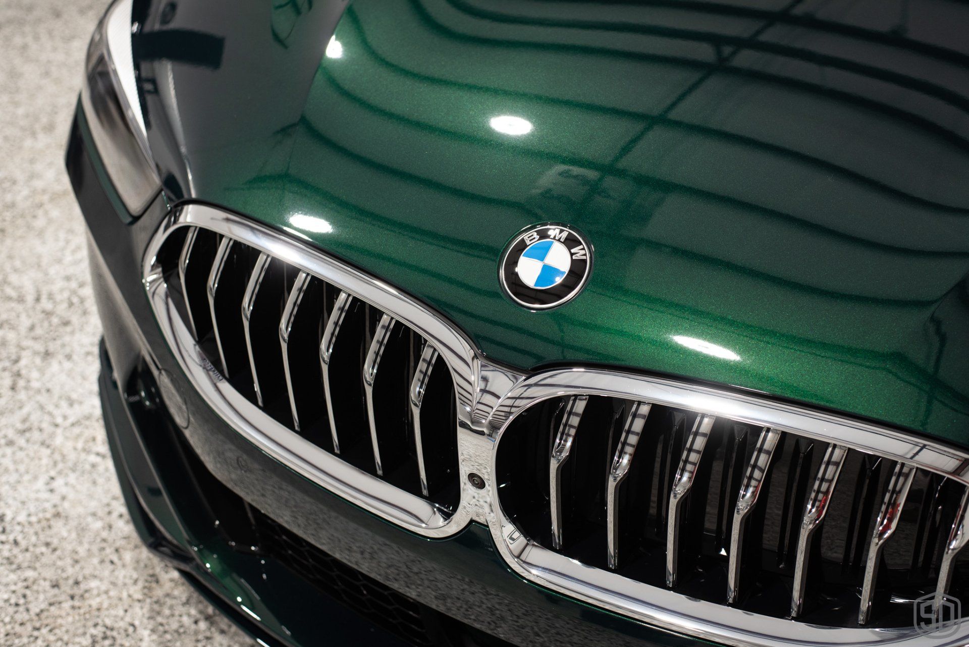 2022 BMW Alpina B8 Protection and Detailing front emblem close up Orlando
