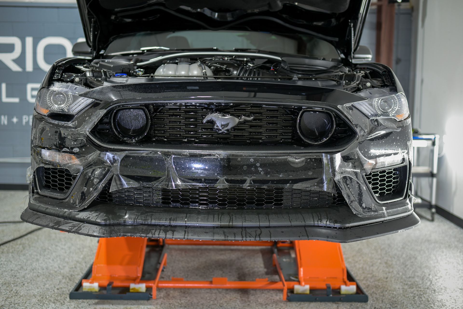 2022 Ford Mustang Mach 1 Paint Correction, Paint Protection Film (PPF), various Modesta Coatings hood open installation Orlando, Florida