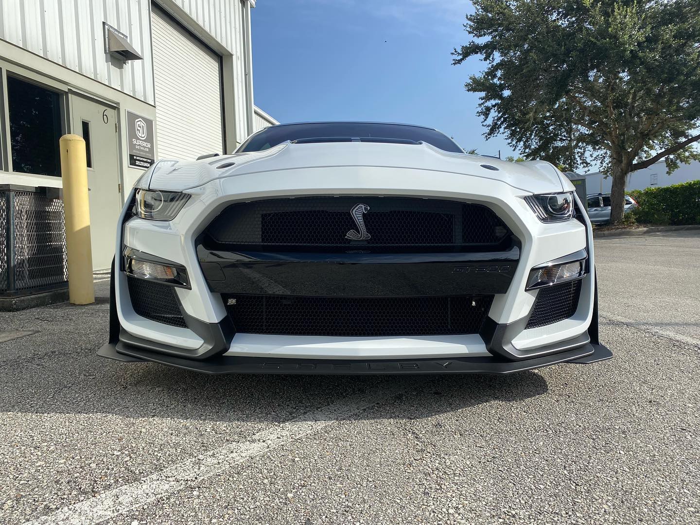 2022 White Mustang GT500 Track Pack Edition Car Detailing Florida