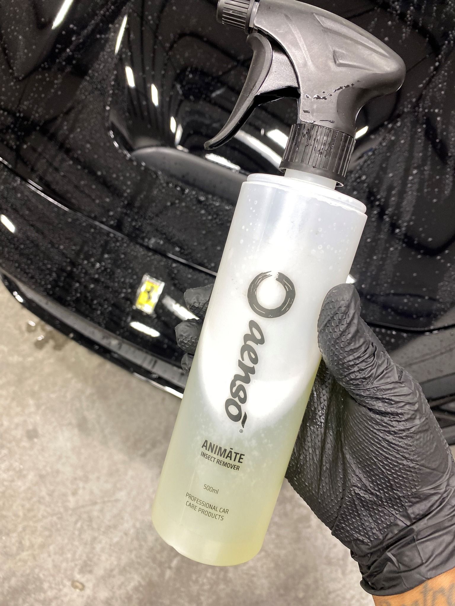 Aenso's Animāte Insect Remover Car Detailing Orlando, Florida USA