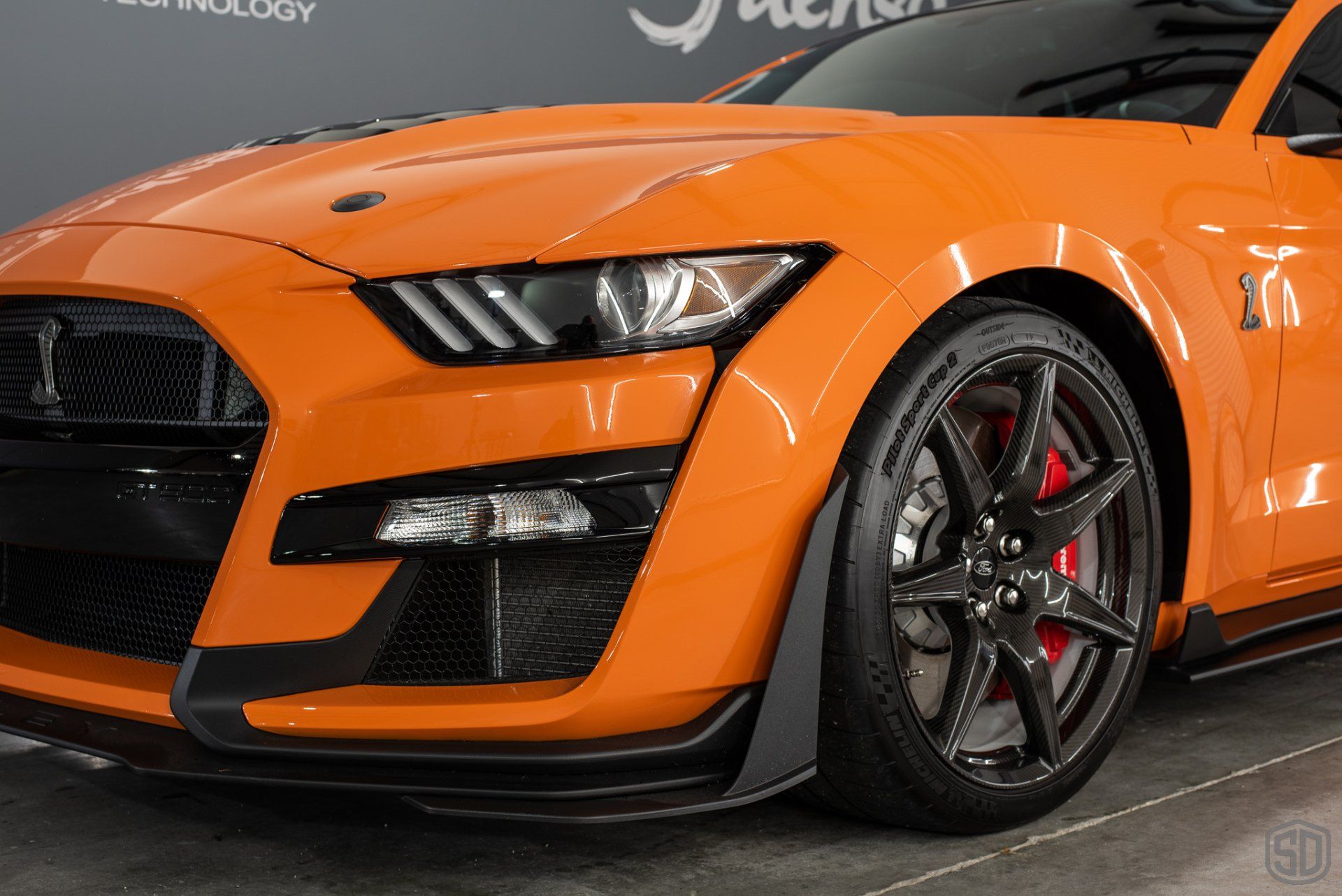 Ford Mustang GT500 Premium Detailing & Paint Correction Orlando